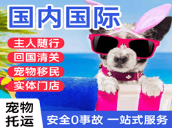 东营空运国际宠物托运 【国